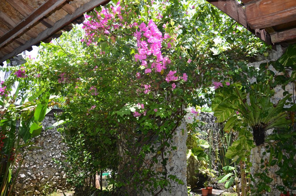 Villa Eva Canggu Zewnętrze zdjęcie